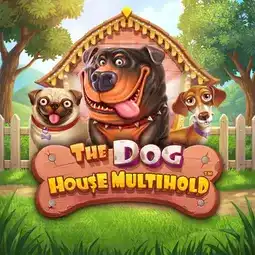 The Dog House Multihold game at Neospin Casino for Australia players